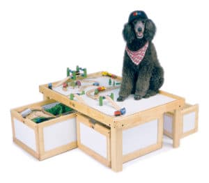 Dog on Activity Table