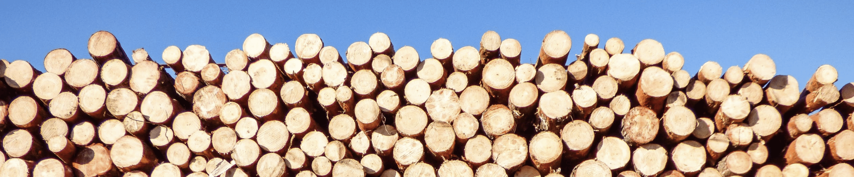 timber, wood, ecological forestry, ecology, environment, wooden, logs, forestry, forest, logs